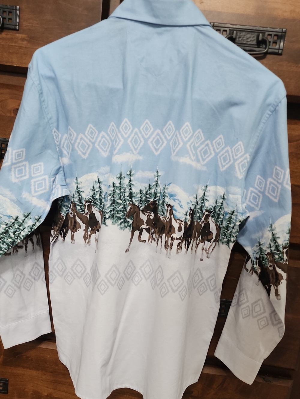 Panhandle Western Cowboy Horse Print Boys Shirt - Picture 5 of 8